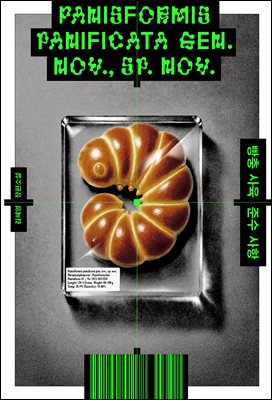 빵충 사육 준수 사항