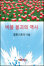 버블 붕괴의 역사