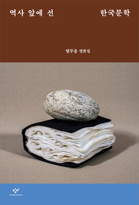 역사 앞에 선 한국문학