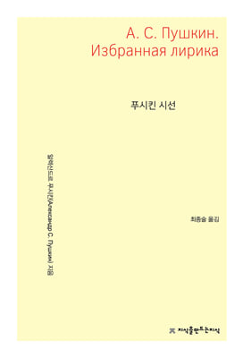 푸시킨 시선