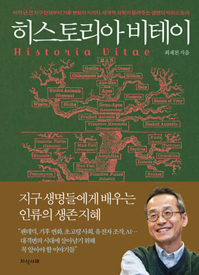 히스토리아 비테이