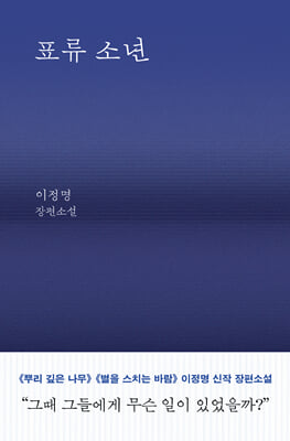 표류 소년
