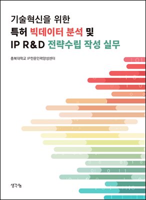 특허 빅데이터 분석 및 IP R&D 전략수립 작성 실무