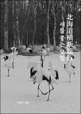새를 쫓는 모험